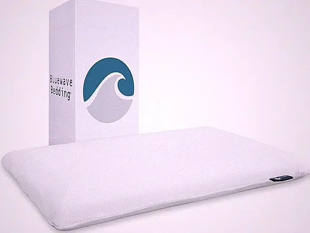 Bluewave Bedding Ultra Slim Pillow (2.75"H) (Standard - Queen Size 25"x16") NEW