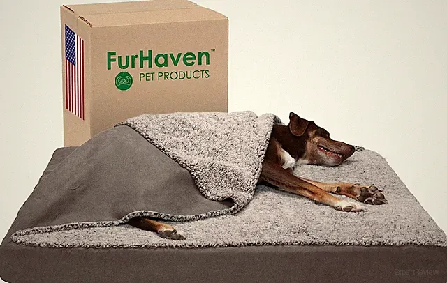 Cooling Gel Dog Bed for Large Dogs W/ Removable Washable Cover