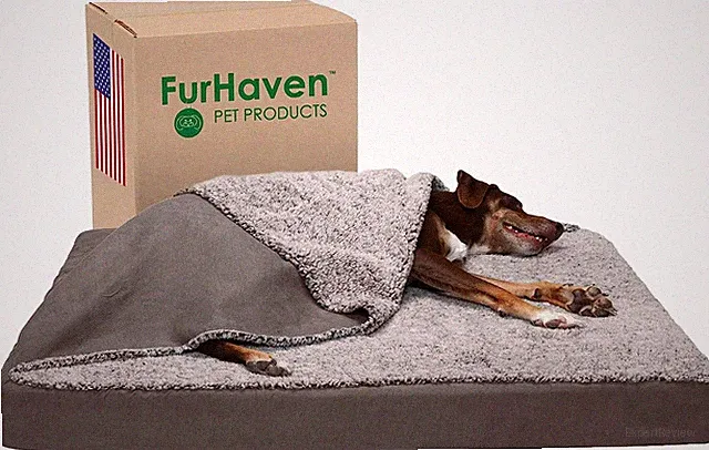 Cooling Gel Dog Bed W/ Removable Berber & Suede Blanket - Gray/Xl