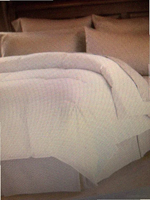 Pacific Coast Feather Spring Air Dream Form Micro Gel Synthetic Comforter -White